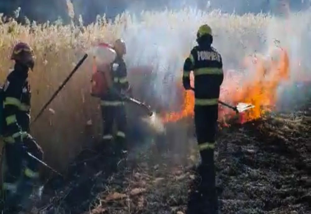 Incendii de vegetație în județul Brăila