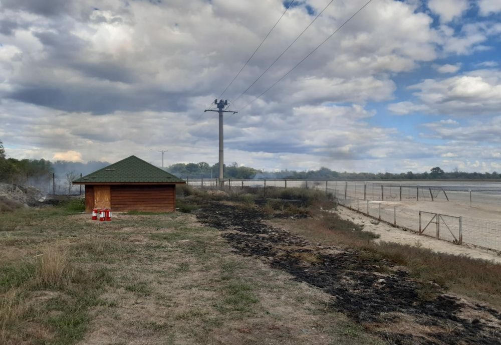 Video: Doi jandarmi brăileni au fost primii care au intervenit la un incendiu de vegetație izbucnit în proximitatea unei anexe din lemn care adăpostea panouri electrice
