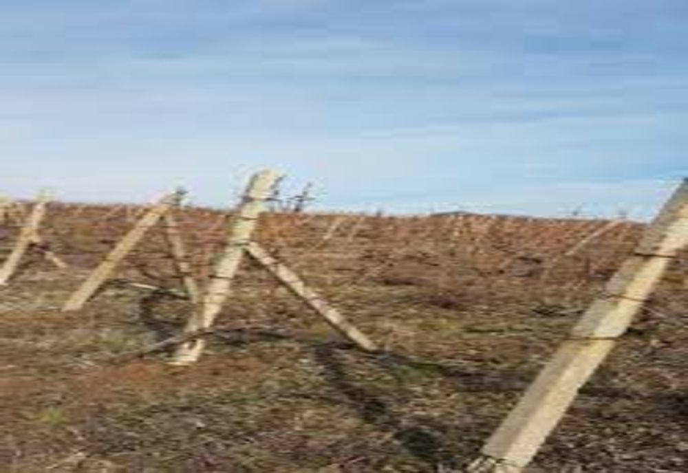 Au furat 10 șpalieri din beton și 15 țevi metalice din curtea unui imobil nelocuit