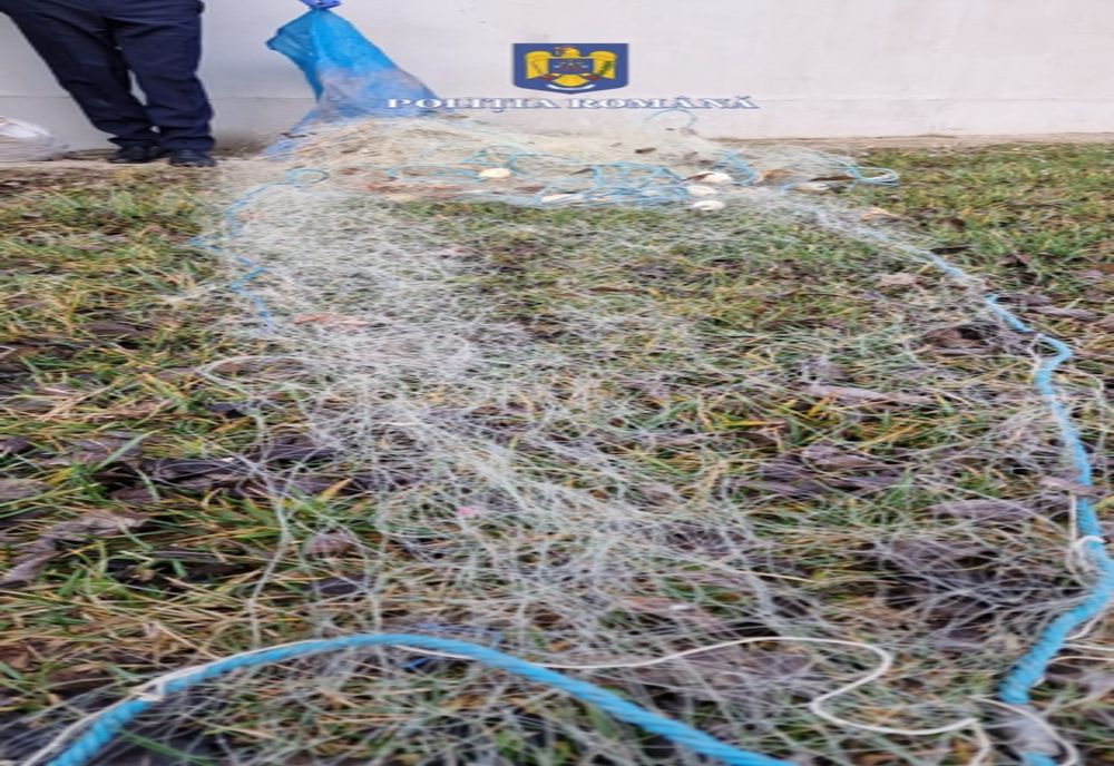 Dosare penale întocmite de polițiștii brăileni în urma unor percheziții în localitățile Urleasca și Traian