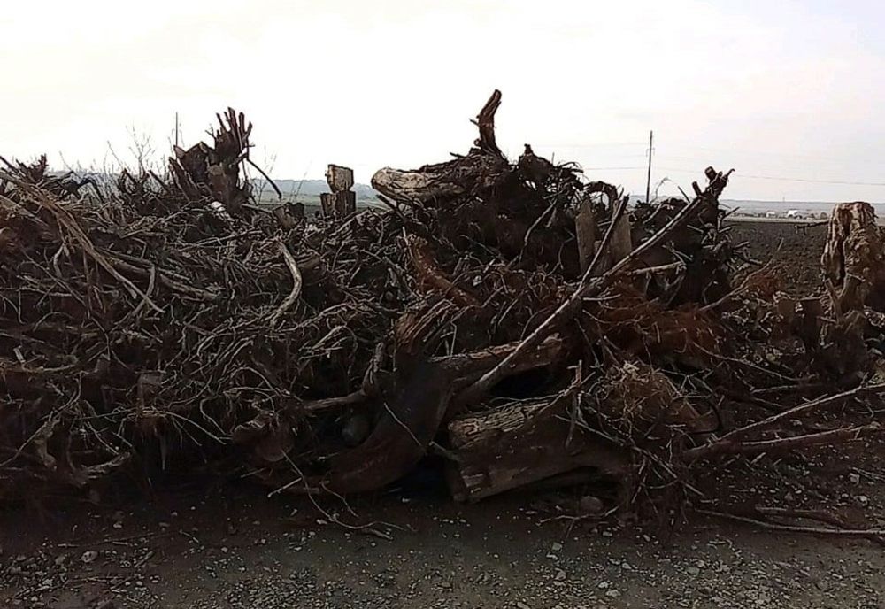 Societate comerciala care colecteaza deseuri sanctionata de comisarii Garzii de Mediu Braila cu o amenda de 60.000 de lei