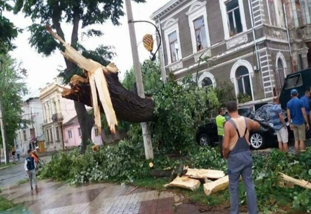 Efectele codului galben de vânt în Brăila