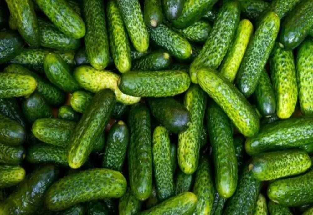 Cei trei legumicultori din Glodeanu Sărat au folosit substanțe chimice la roșii și castraveți