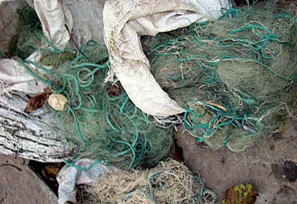 Patru plase de pescuit de tip setcă și monofilament și o năpatcă găsite de polițiști pe malul Dunării