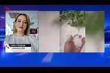 Vijelii extreme în țară și temperaturi de foc. La ce să ne așteptăm în orele următoare: noile date de la ANM