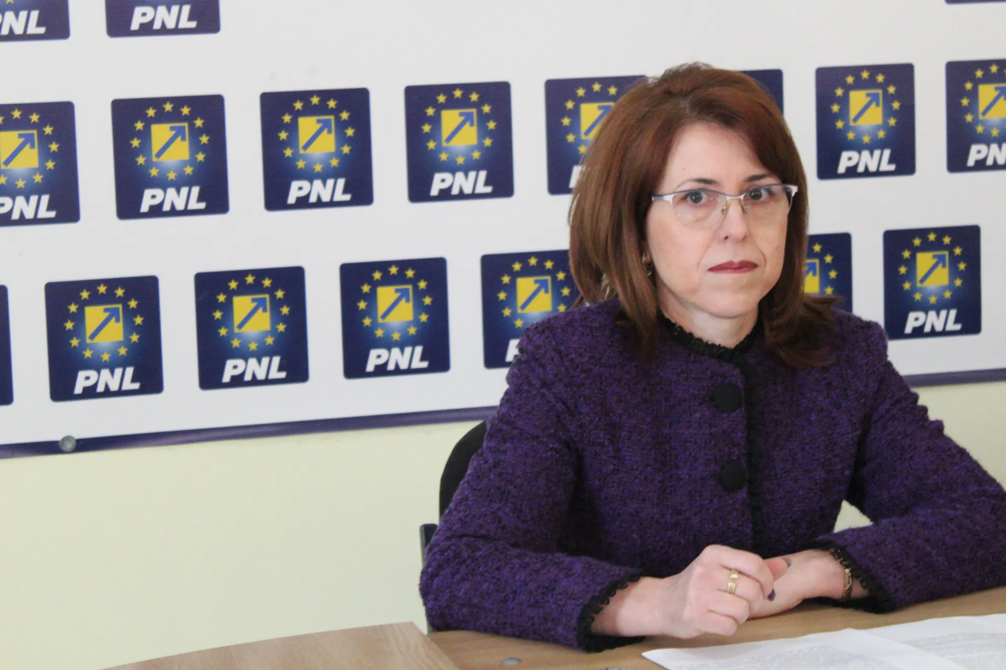 deputat pnl ionita