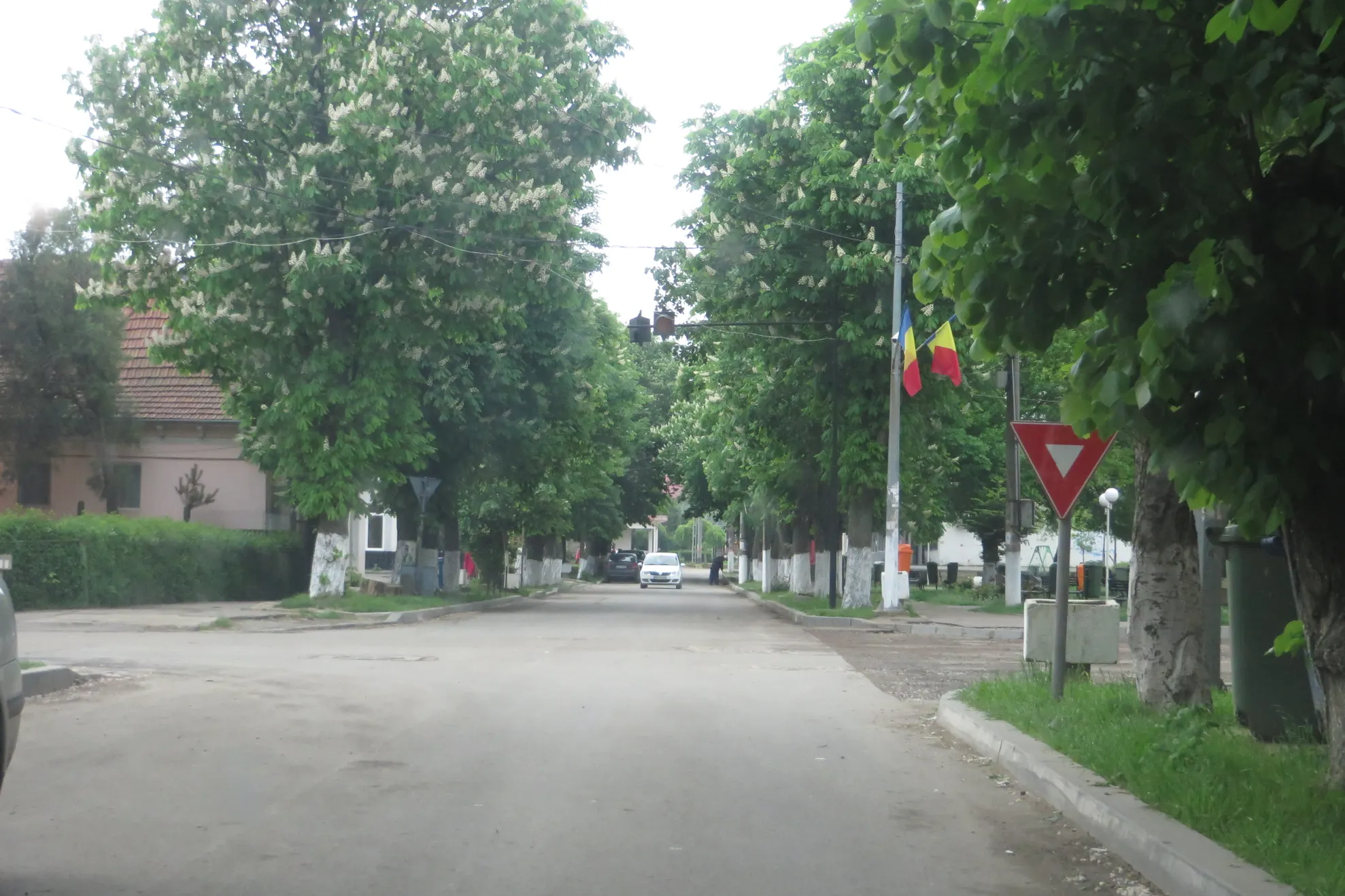 A furat un telefon din incinta unei sucursale bancare din Făurei