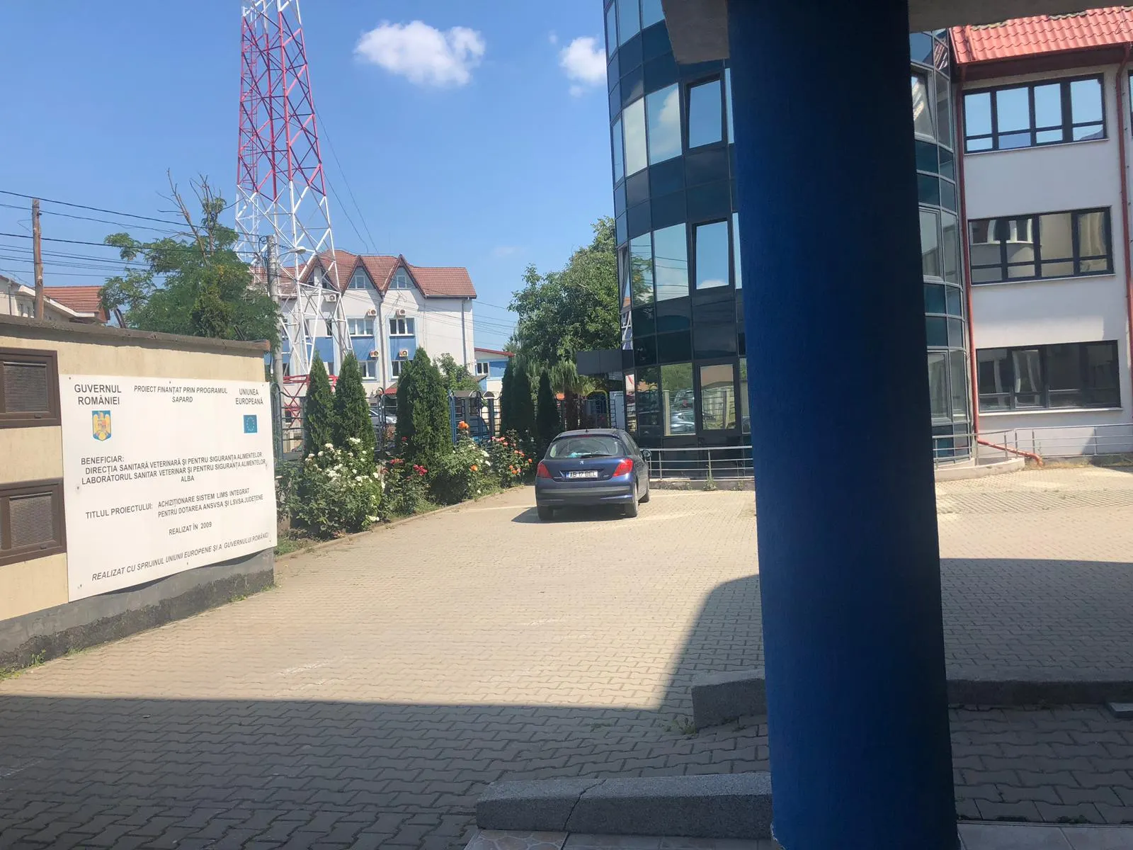IMG-20190725-WA0008