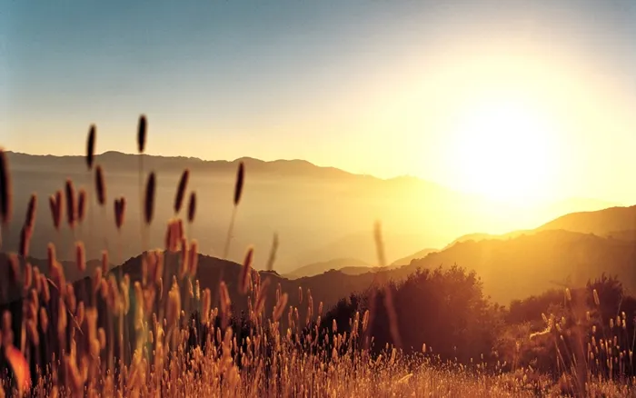 ws_Vista_field_in_the_sun_1440x900