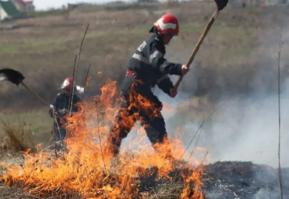Incendii de vegetație în mai multe zone din județul Brăila