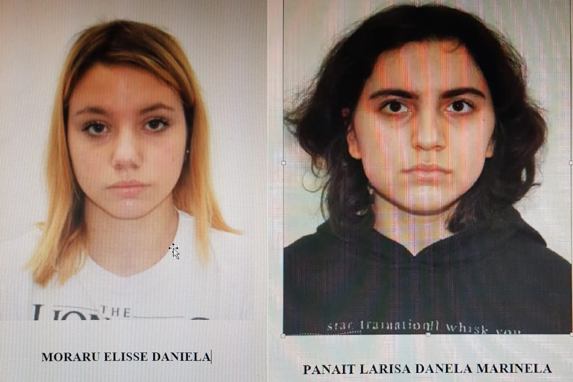 disparute braila