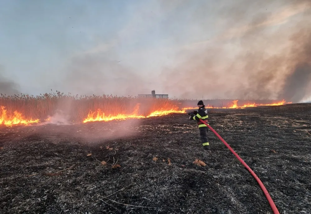 Patru incendii de vegetație uscată și dou incendii la locuințe înregistrate în weekend în județul Brăila