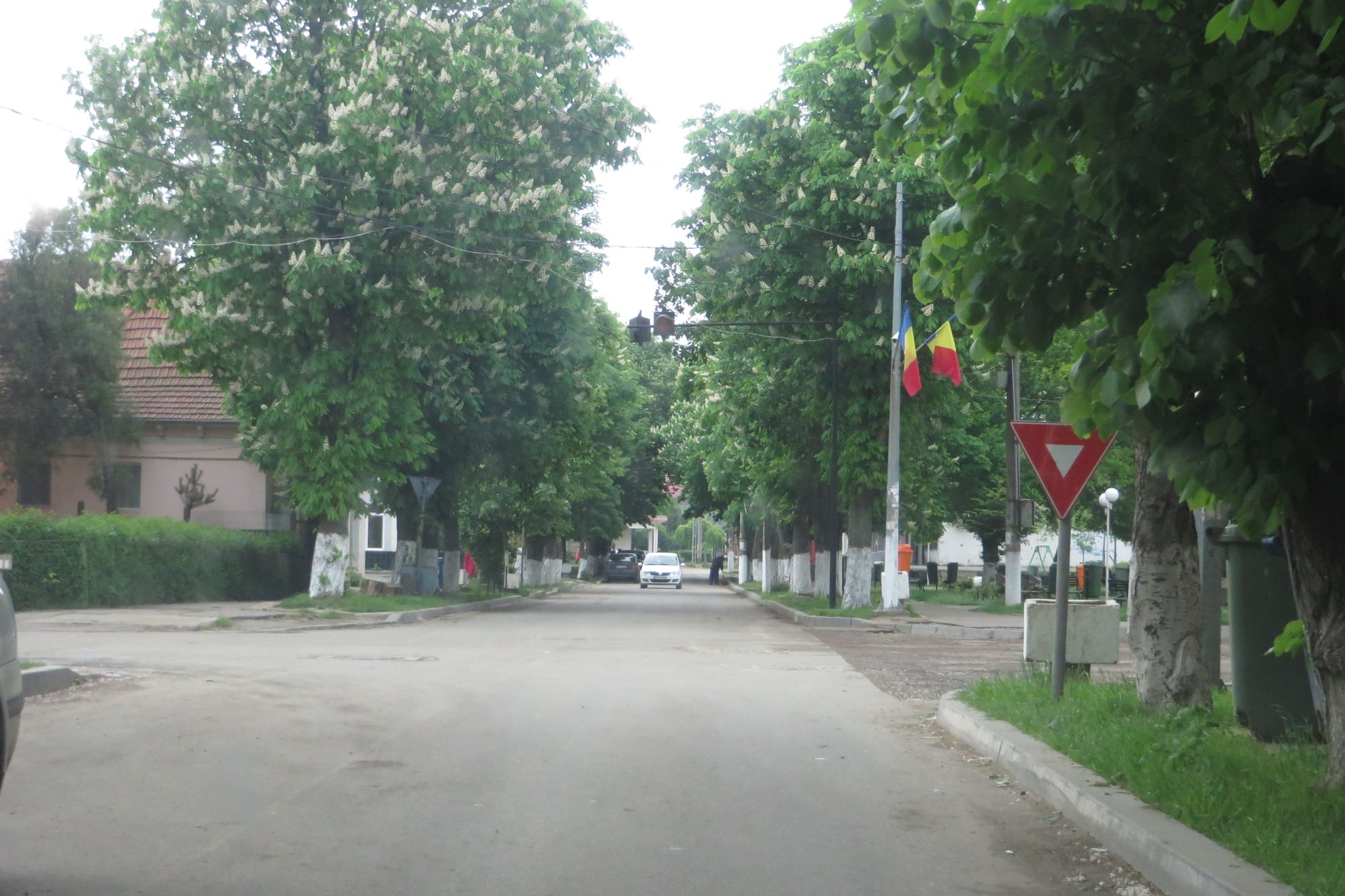 A furat un telefon din incinta unei sucursale bancare din Făurei