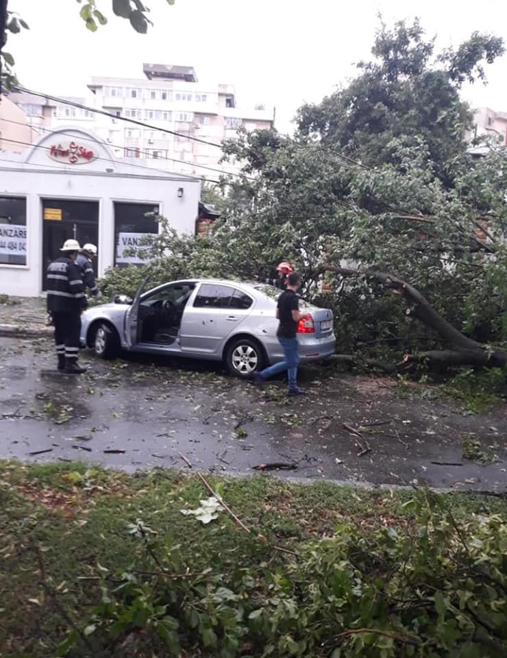 65057108_660807191053723_6745844238333771776_n