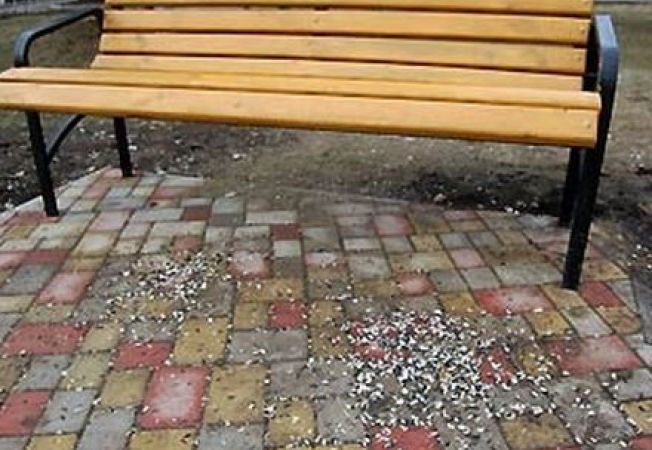 652x450_115161-amenzi-usturatoare-pentru-cei-care-sparg-seminte-in-parc