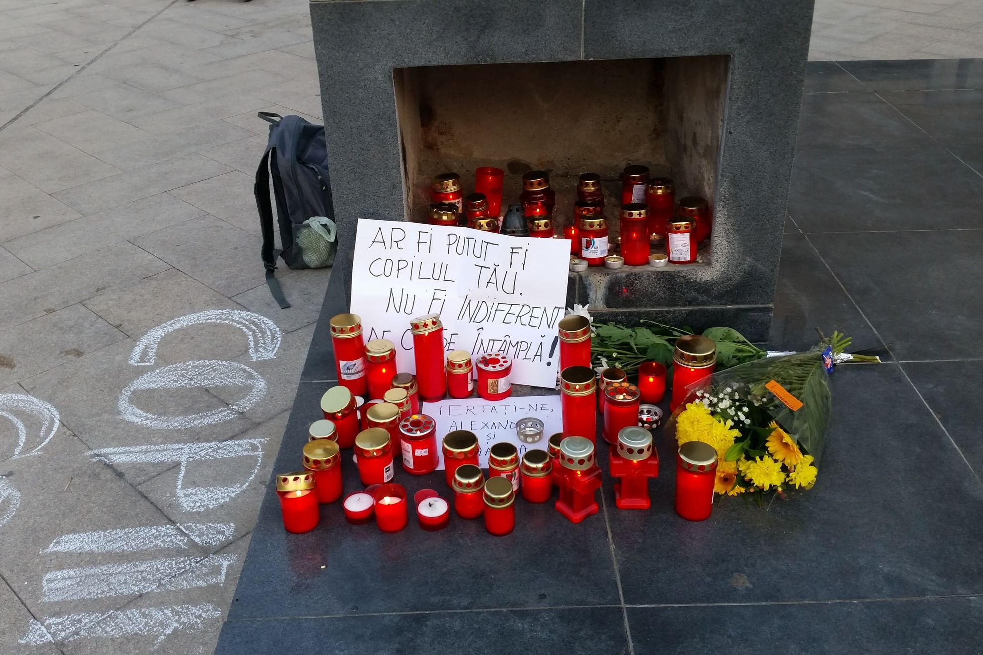 67403389_706437029796851_5567420630967517184_n