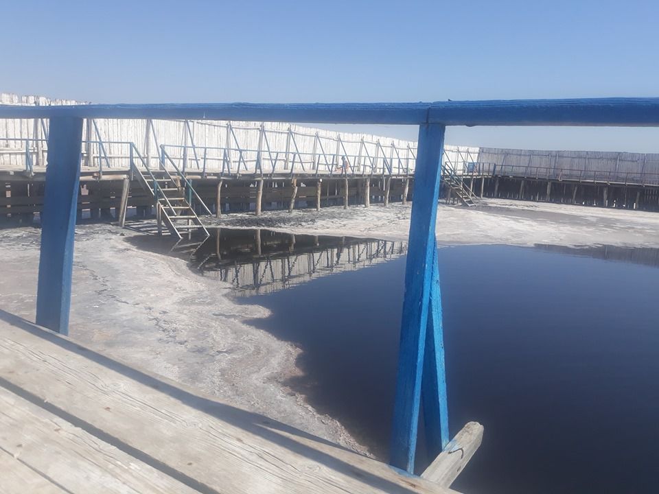 69167690_2449716228405068_9189816213285371904_n