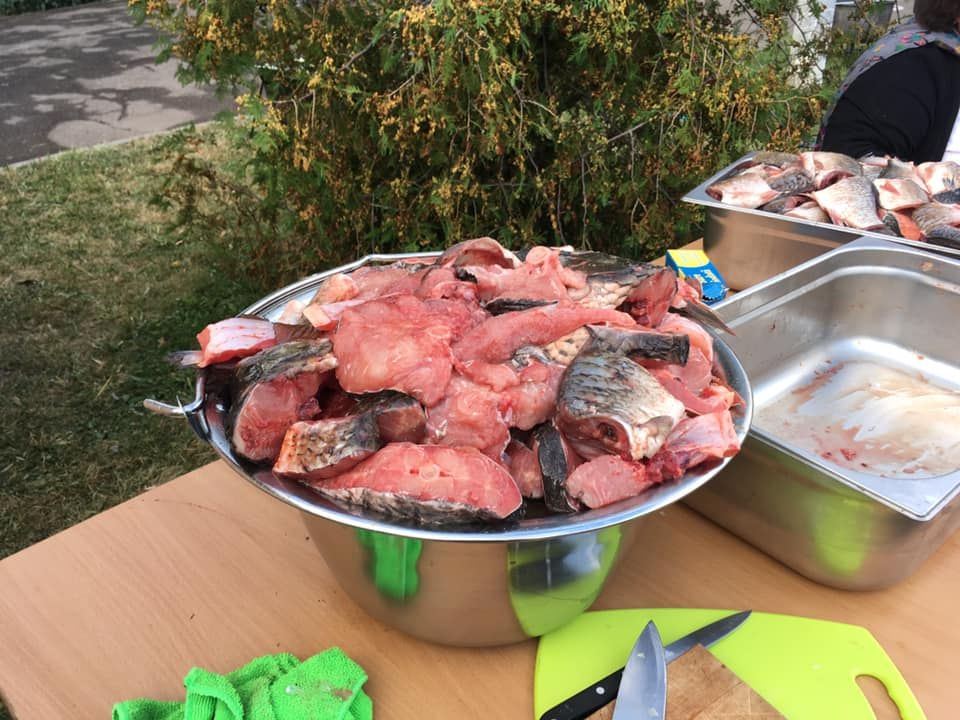 71283823_10157687182596202_11808664688001024_n