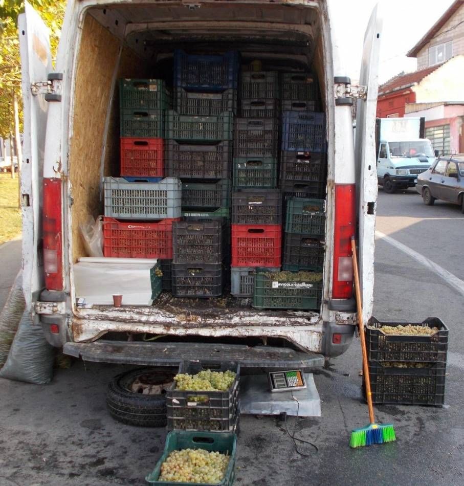 struguri fara documente legale