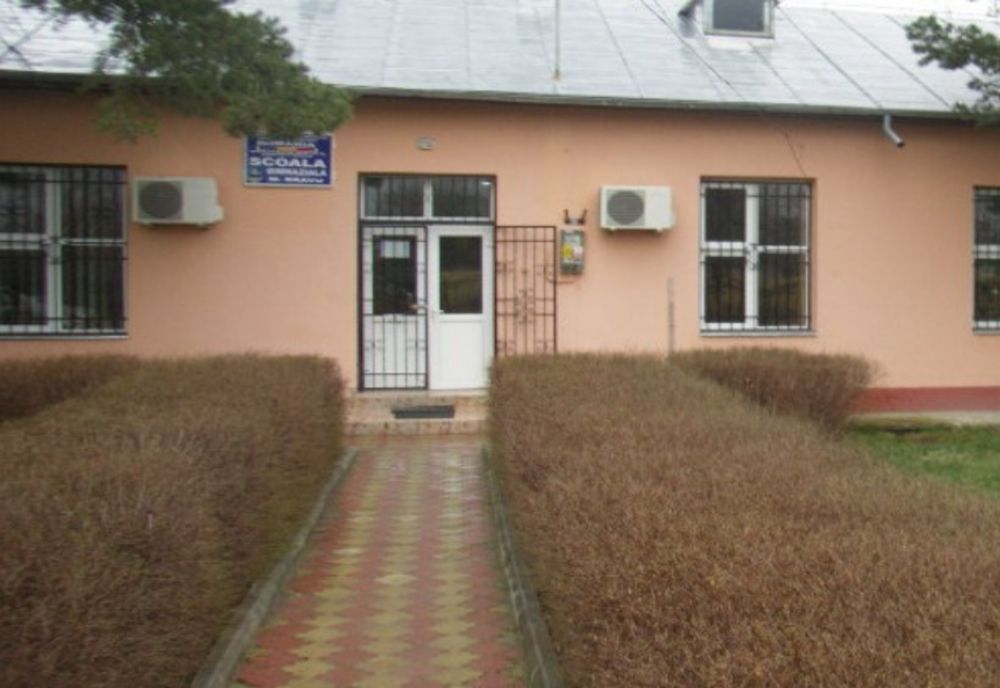 O profesoară s-a prezentat sub influența alcoolului la ore