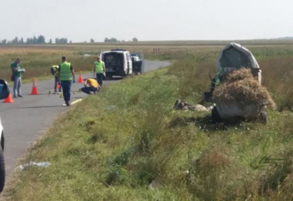 Cei 3 criminali din Vișani condamnați la un total de peste 60 de ani de închisoare