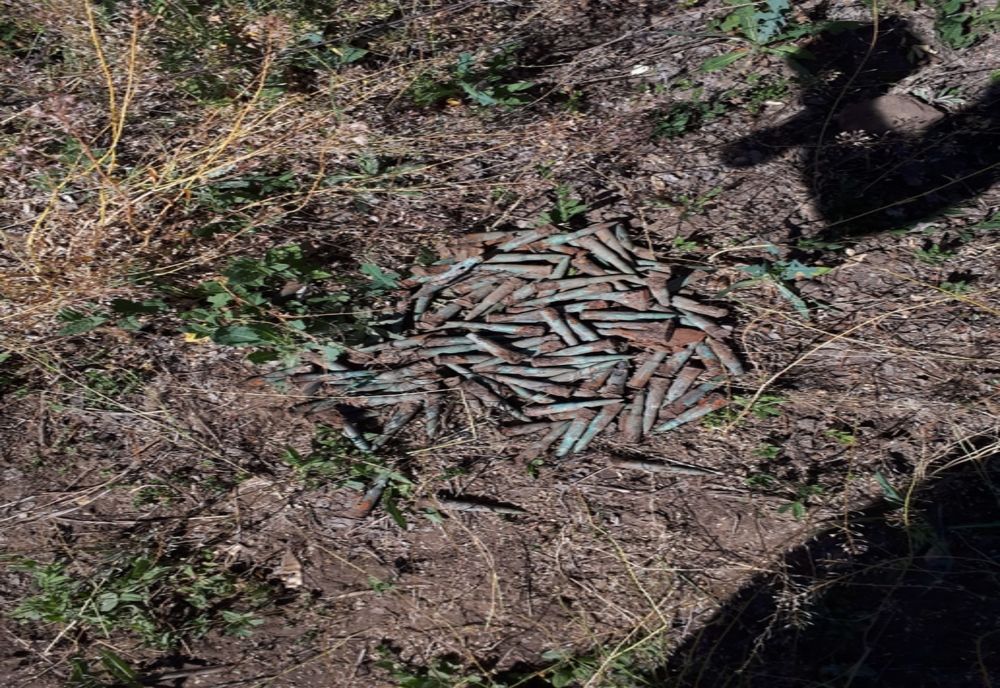 Cartușe găsite pe un câmp