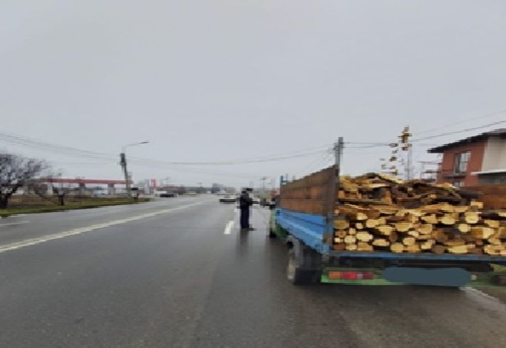 Polițiștii brăileni acționează pentru combaterea delictelor silvice