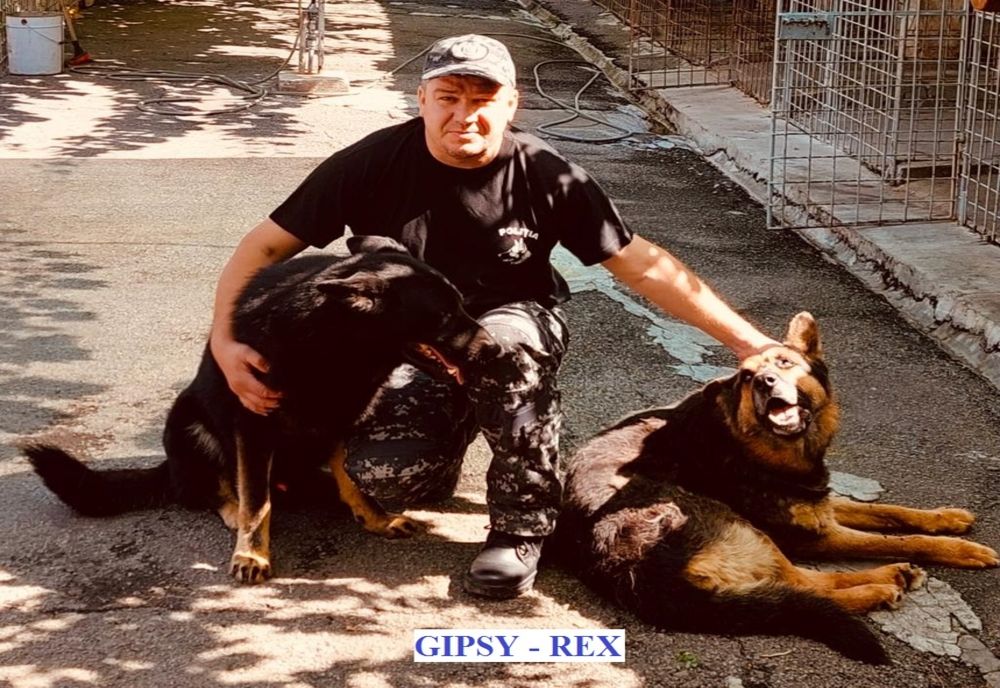 Patru câini polițiști de la IPJ Brăila s-au ”pensionat”