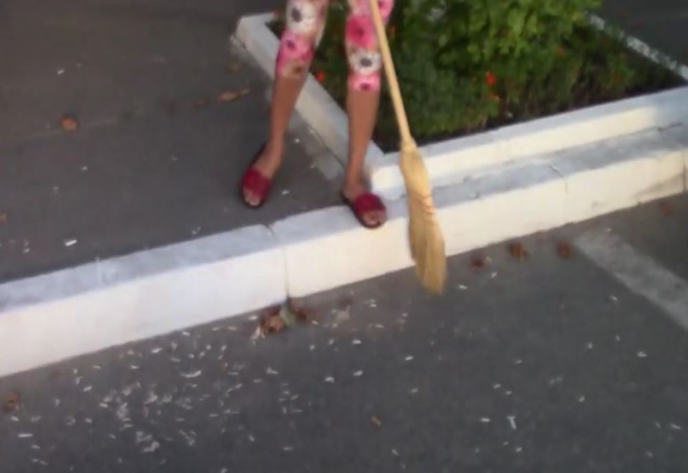 Puși de Poliția Locală să măture cojile de semințe