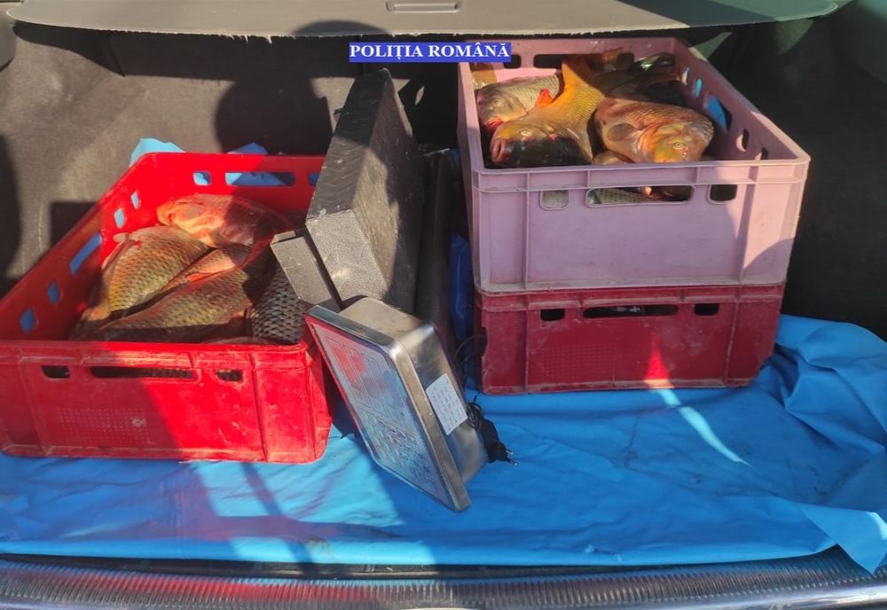 Dosar penal pentru 57 kg de pește pentru care nu deținea documente de proveniență