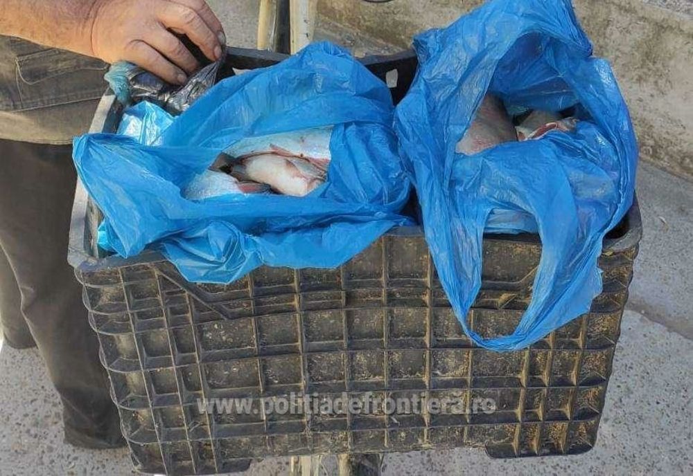 Un brăilean a pescuit un dosar penal