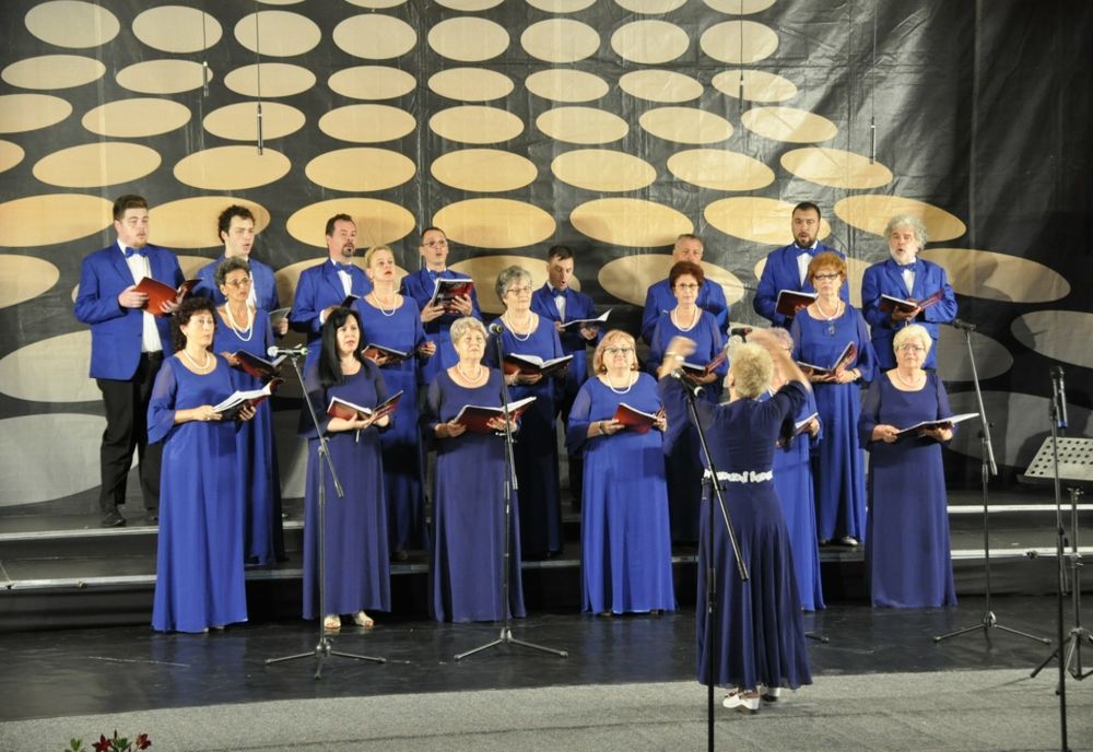 Corul brăilean ”Trison” a obținut premiul 3 la Festivalul-concurs de muzică corală laică și religioasă „Gheorghe Cucu”