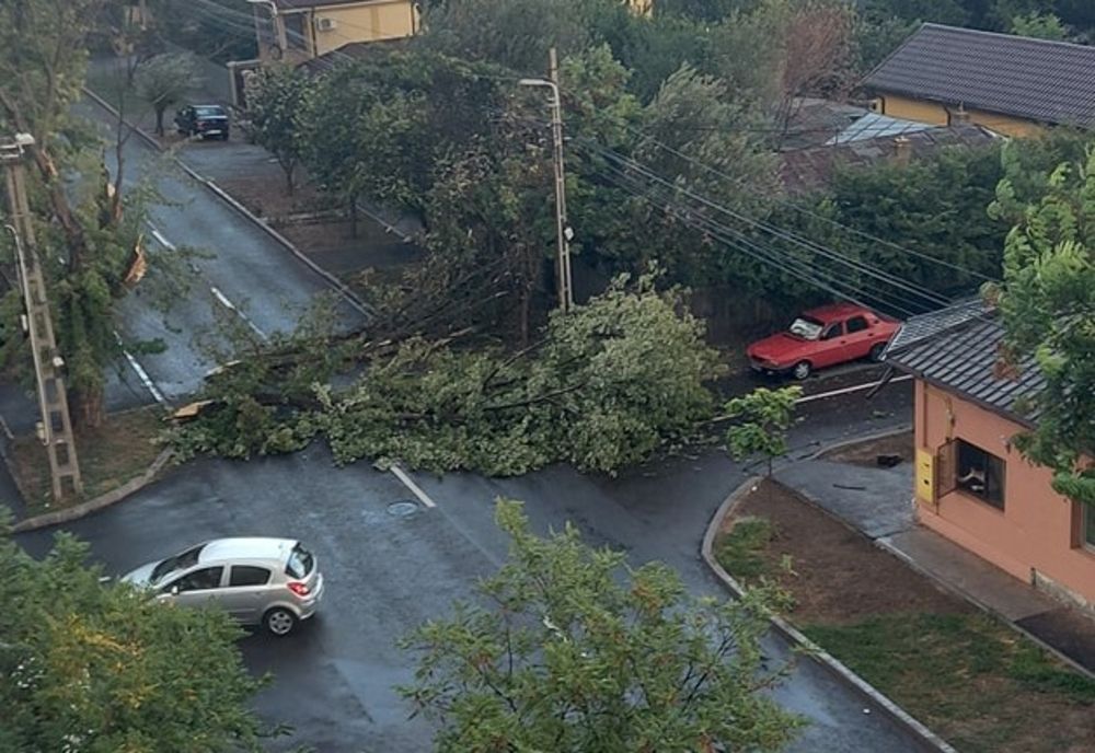 Copaci căzuți și ape în case în urma fenimenelor meteo de marți seară din Brăila