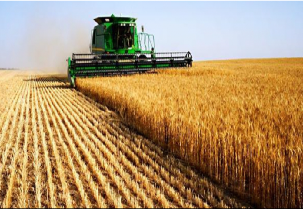 Agroindustriala Râmnicelu a câștigat licitația pentru concesionarea de la ADS a unui teren de 1.344 ha de teren agricol în zona Gropeni-Stăncuța