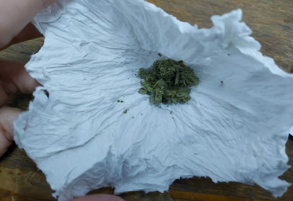 Brăileni depistați cu substanțe psihoactive asupra lor, pentru ”consum propriu”