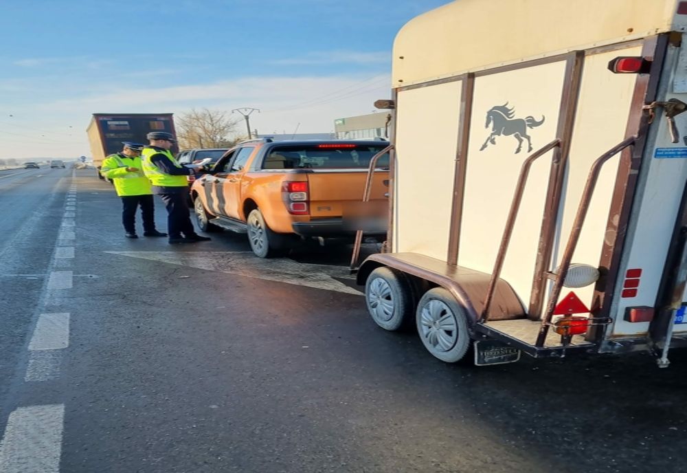 Acțiune desfășurată de polițiștii din cadrul Biroului pentru Protecția Animalelor Brăila