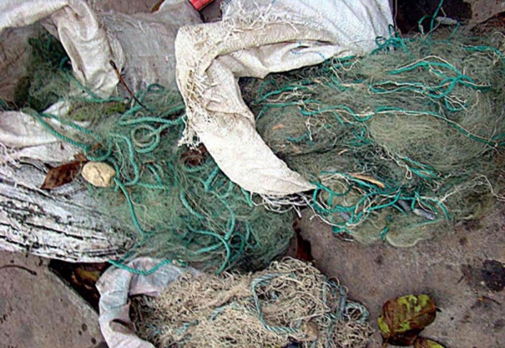 Depistați de polițiști când pescuiau ilegal pe un canal de irigație situat în extravilanul localității Urleasca