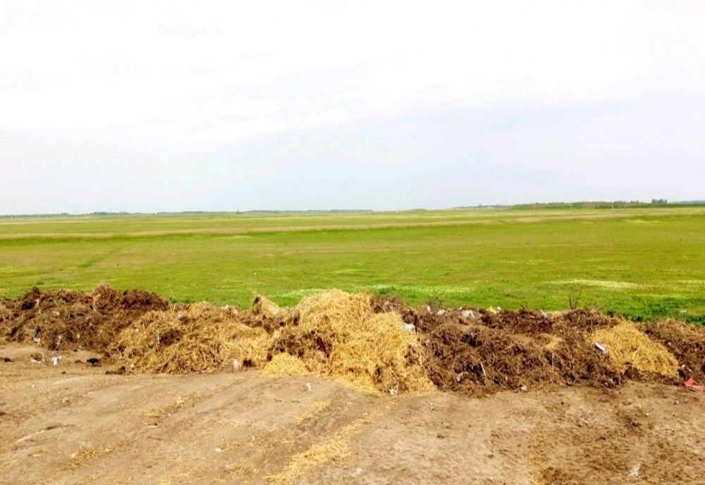 Primaria Mircea Vodă amendata cu 45.000 de lei de Garda de Mediu