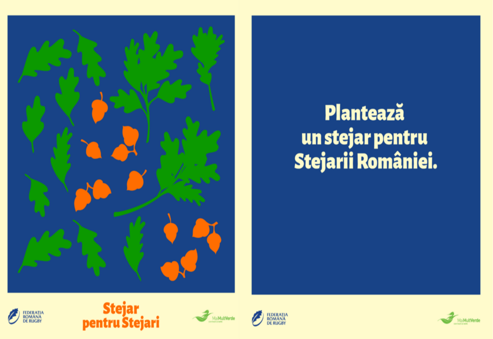 Un stejar pentru Stejarii României: Campanie de plantare de copaci  în numele echipei naționale de rugby