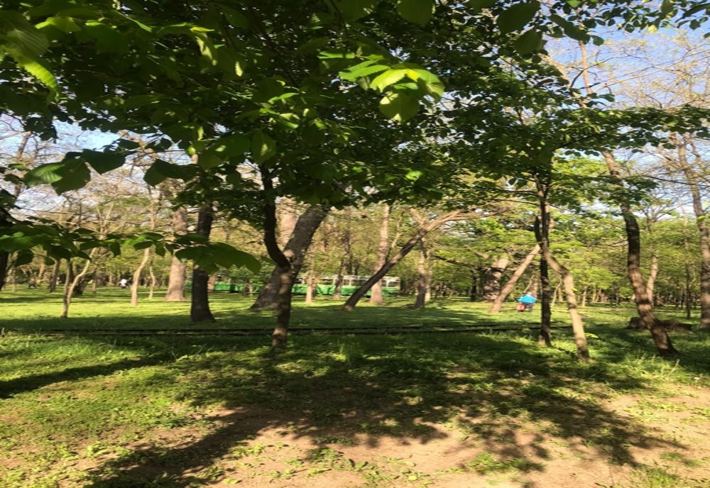 De luni, 8 mai, se întrerupe circulația tramvaielor în Brăila. Încep lucrările pe calea de rulare tramvai din Parcul Monument