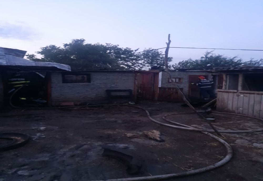 Pompierii de la ISU Brăila n-au avut vacanță în perioada 1-5 iunie