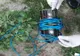 Infracțiuni de braconaj piscicol constatate de polițiștii de frontieră brăileni