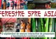 „Ferestre spre Asia” - o serie de sesiuni interactive de prezentare a fascinantului continent asiatic