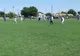 Rezultatele înregistrate în prima etapă din play-off în Liga a 5-a