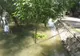 Dunărea în creștere la Brăila