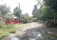 Furtuna a făcut ravagii în comuna brăileană Chiscani