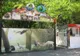 Pestă porcină africană confirmată la Grădina Zoo din Brăila