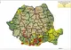 În județul Brăila mai sunt active doar 3 focare de PPA