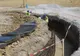 Contract de supervizare a lucrărilor de la Podul peste Dunăre în valoare de peste 7 milioane de euro fără TVA
