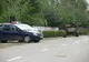 Cinci tineri din comuna Victoria cercetați pentru furturi de oi și capre din gospodăriile unor consăteni